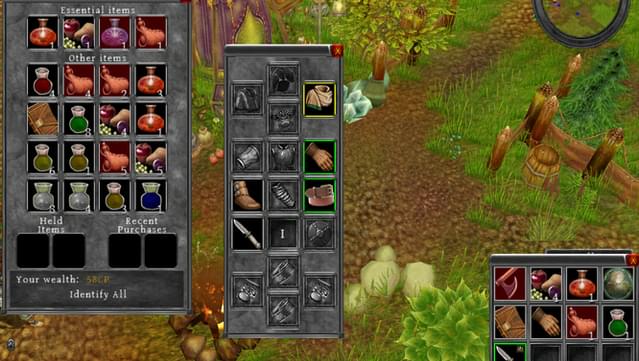 Depths of Peril PC Screenshot