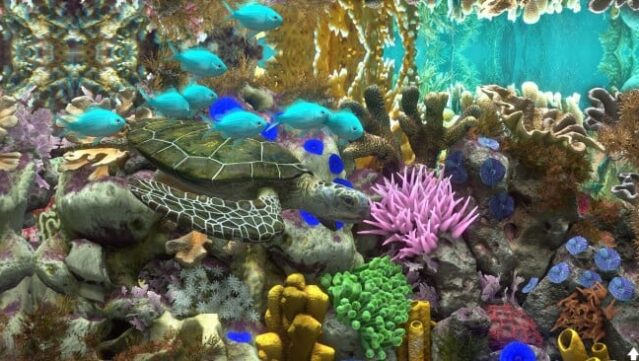 Behind Glass: Aquarium Simulator Gameplay Screenshot