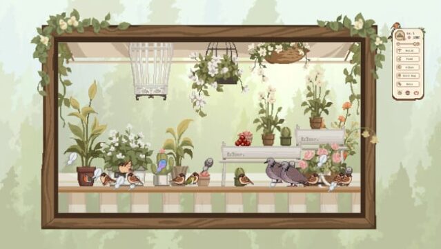 Birdwatching Notebook Gameplay Screenshot