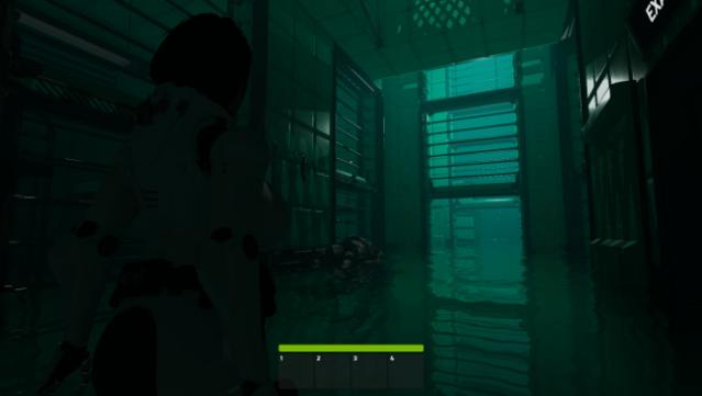 Haydee PC Screenshot